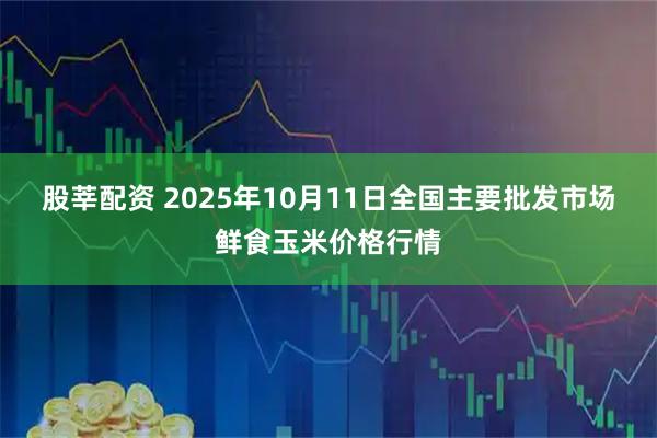 股莘配资 2025年10月11日全国主要批发市场鲜食玉米价格行情