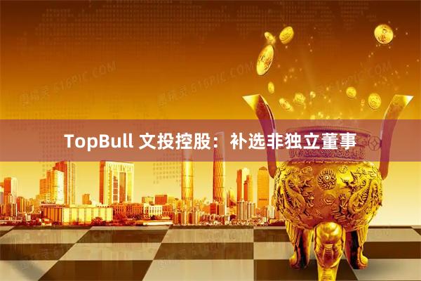 TopBull 文投控股：补选非独立董事