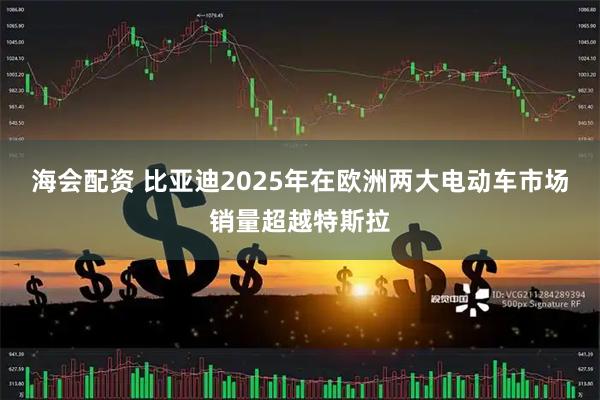 海会配资 比亚迪2025年在欧洲两大电动车市场销量超越特斯拉