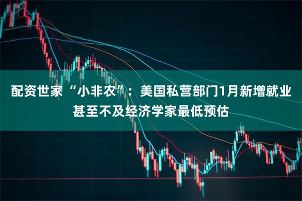 配资世家 “小非农”:美国私营部门1月新增就业甚至不及经济学家最低预估